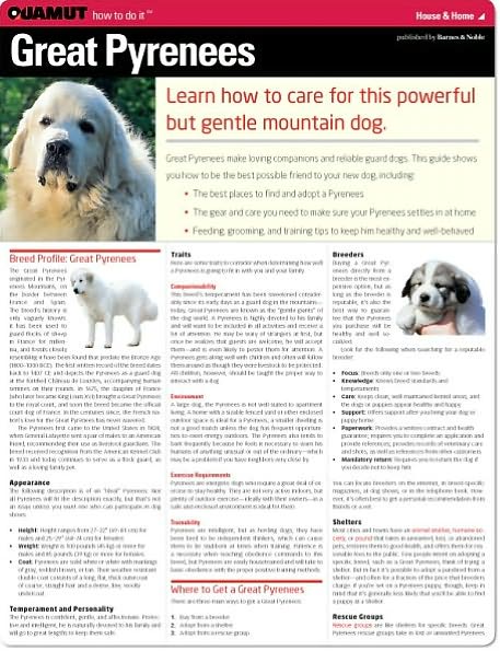 Great Pyrenees (Quamut)