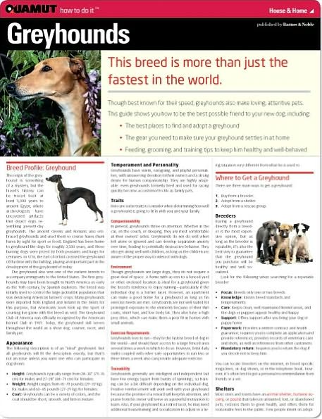 Greyhound (Quamut)