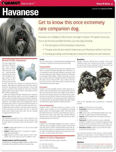 Havanese (Quamut)