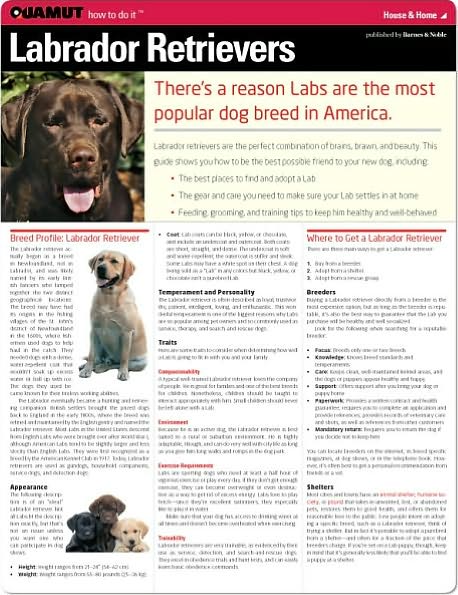 Labrador Retrievers (Quamut)