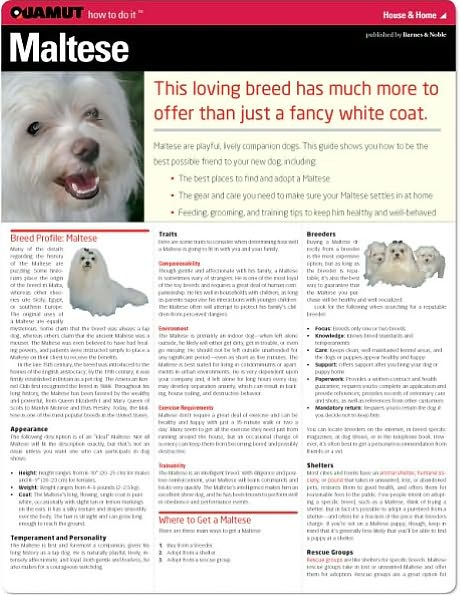 Maltese (Quamut)