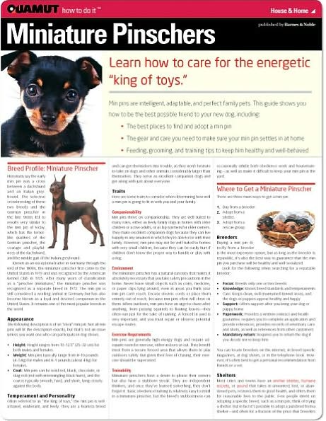 Miniature Pinscher (Quamut)