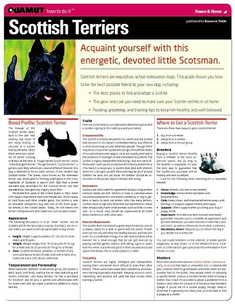 Scottish Terrier (Quamut)