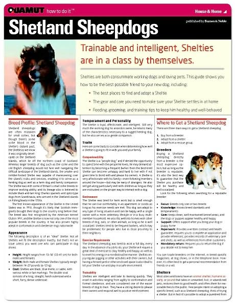 Shetland Sheepdog (Quamut)