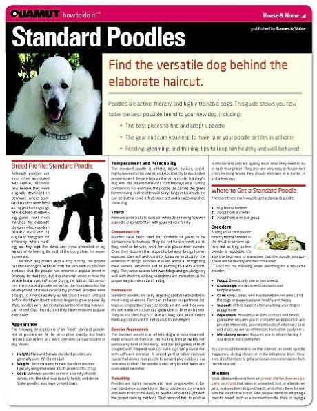 Standard Poodle (Quamut)