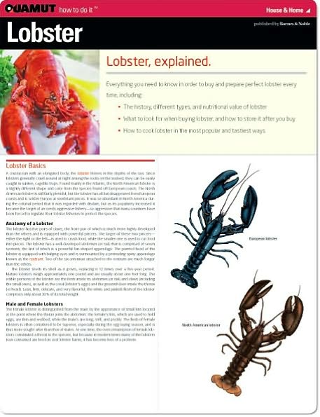 Lobster (Quamut)