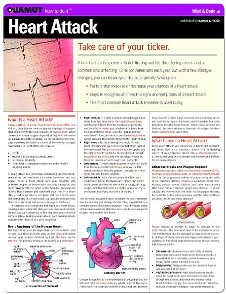 Heart Attack (Quamut)