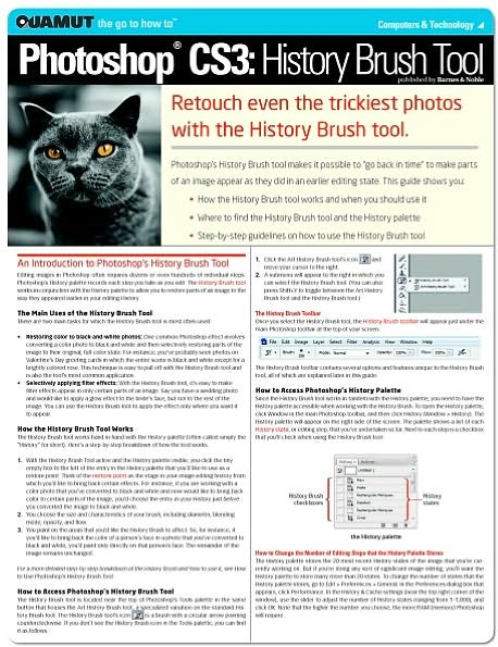 Photoshop: History Brush Tool (Quamut)