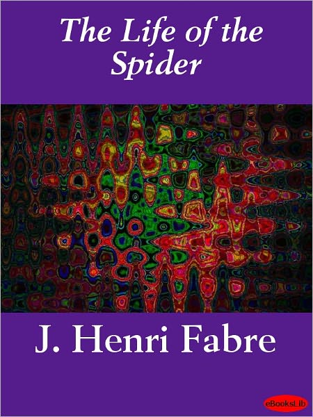 The Life of the Spider