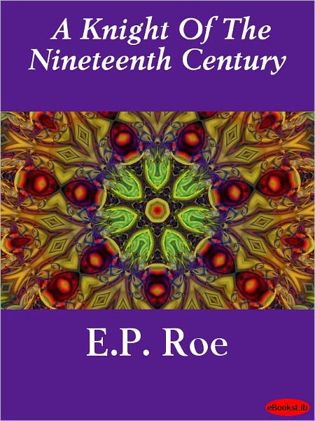 A Knight Of The Nineteenth Century