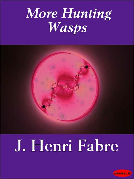 More Hunting Wasps