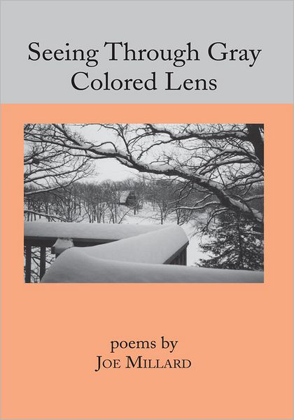 Seeing Through Gray Colored Lens