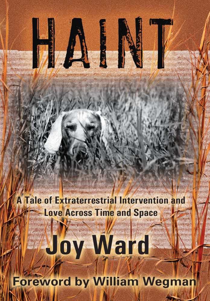 Haint: A Tale of Extraterrestrial Intervention and Love Across Time and Space