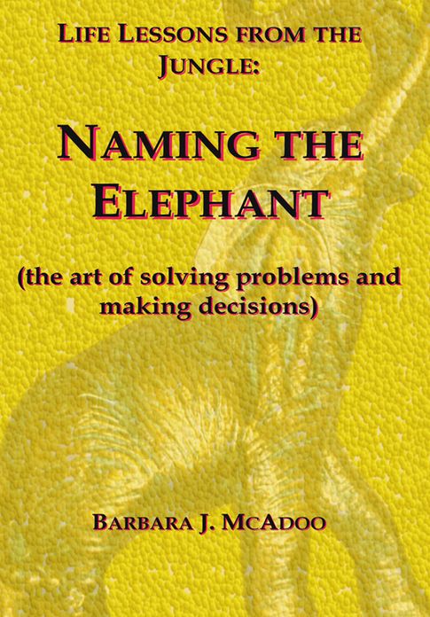 Life Lessons from the Jungle: Naming the Elephant (the art of solving problems and making decisions)