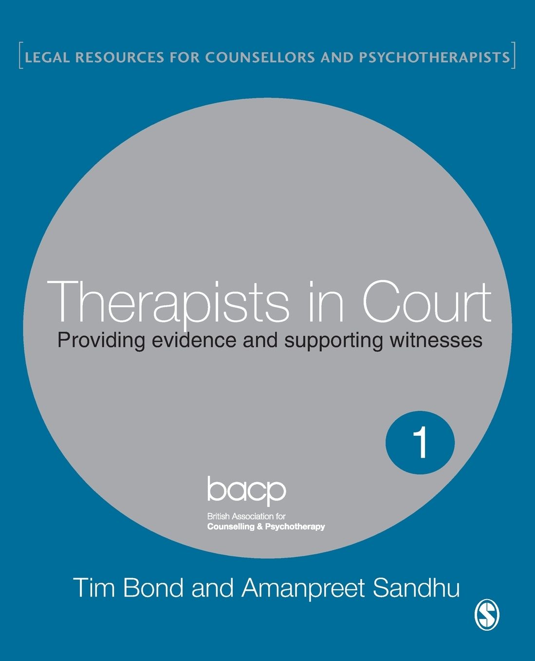Therapists in Court: Providing Evidence and Supporting Witnesses (Legal Resources for Counselors and Psychotherapists Series)