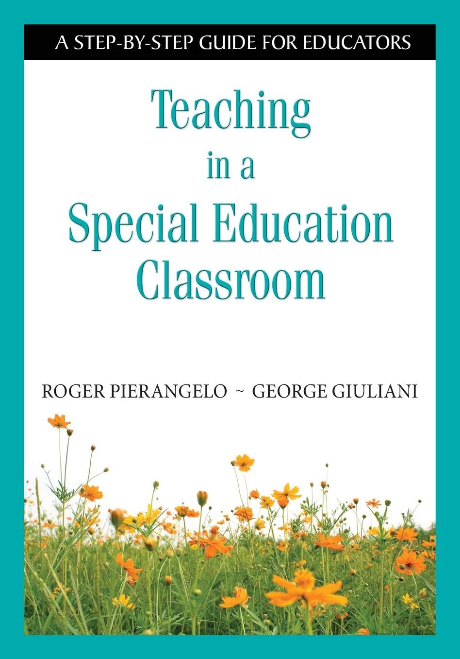 Teaching in a Special Education Classroom: A Step-by-Step Guide for Educators