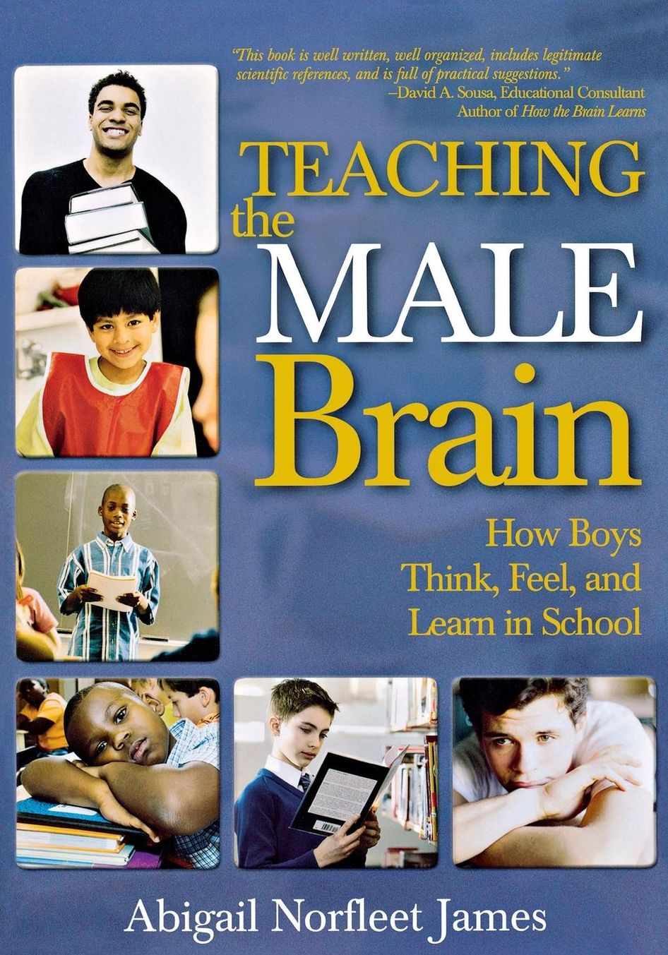 Teaching the Male Brain: How Boys Think, Feel, and Learn in School