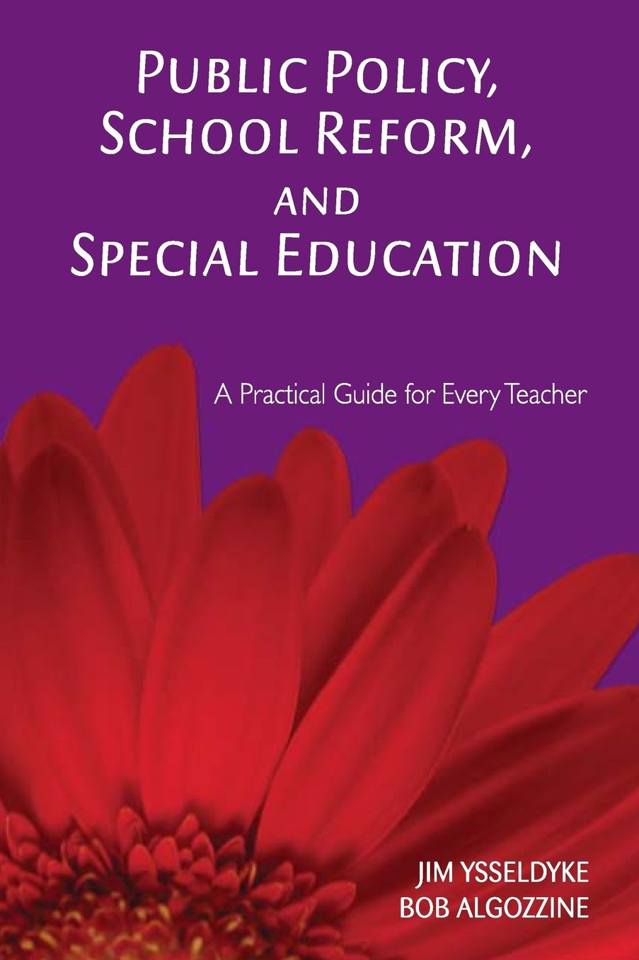Public Policy, School Reform, and Special Education: A Practical Guide for Every Teacher
