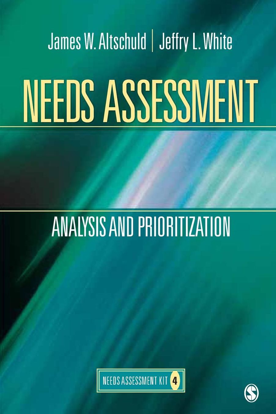 Needs Assessment: Analysis and Prioritization (Needs Assessment Series)
