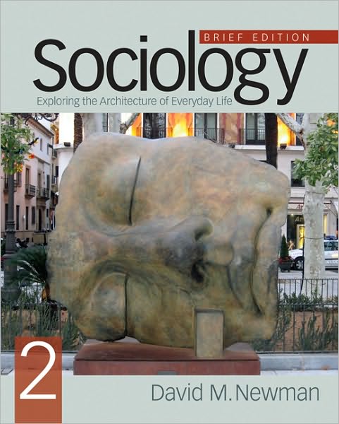 Sociology: Exploring the Architecture of Everyday Life, Brief Edition