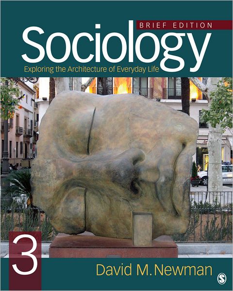 Sociology: Exploring the Architecture of Everyday Life, Brief Edition