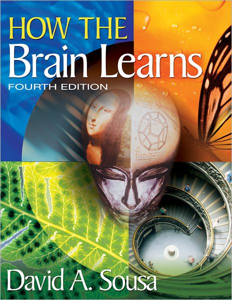 How the Brain Learns