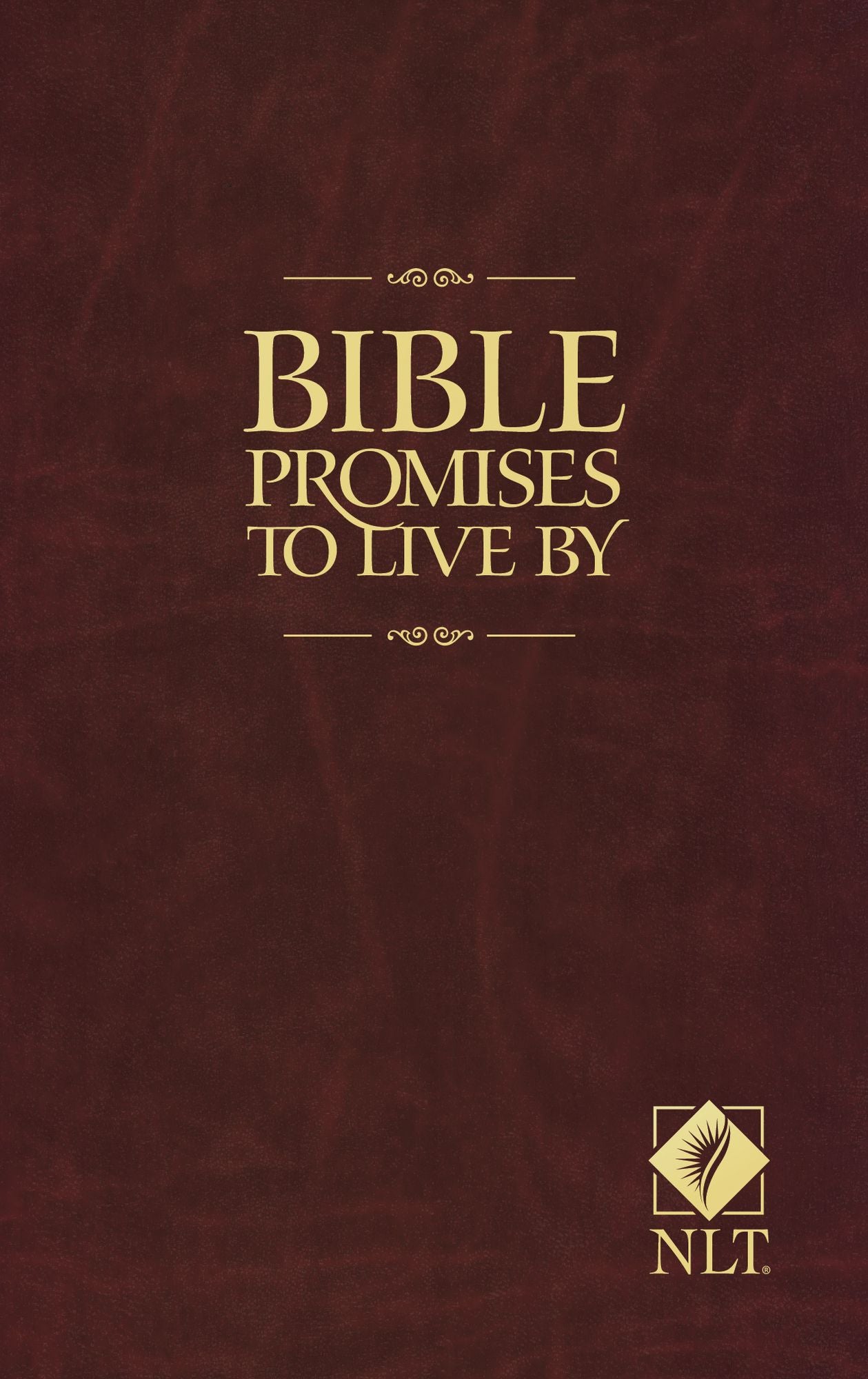 Bible Promises to Live By