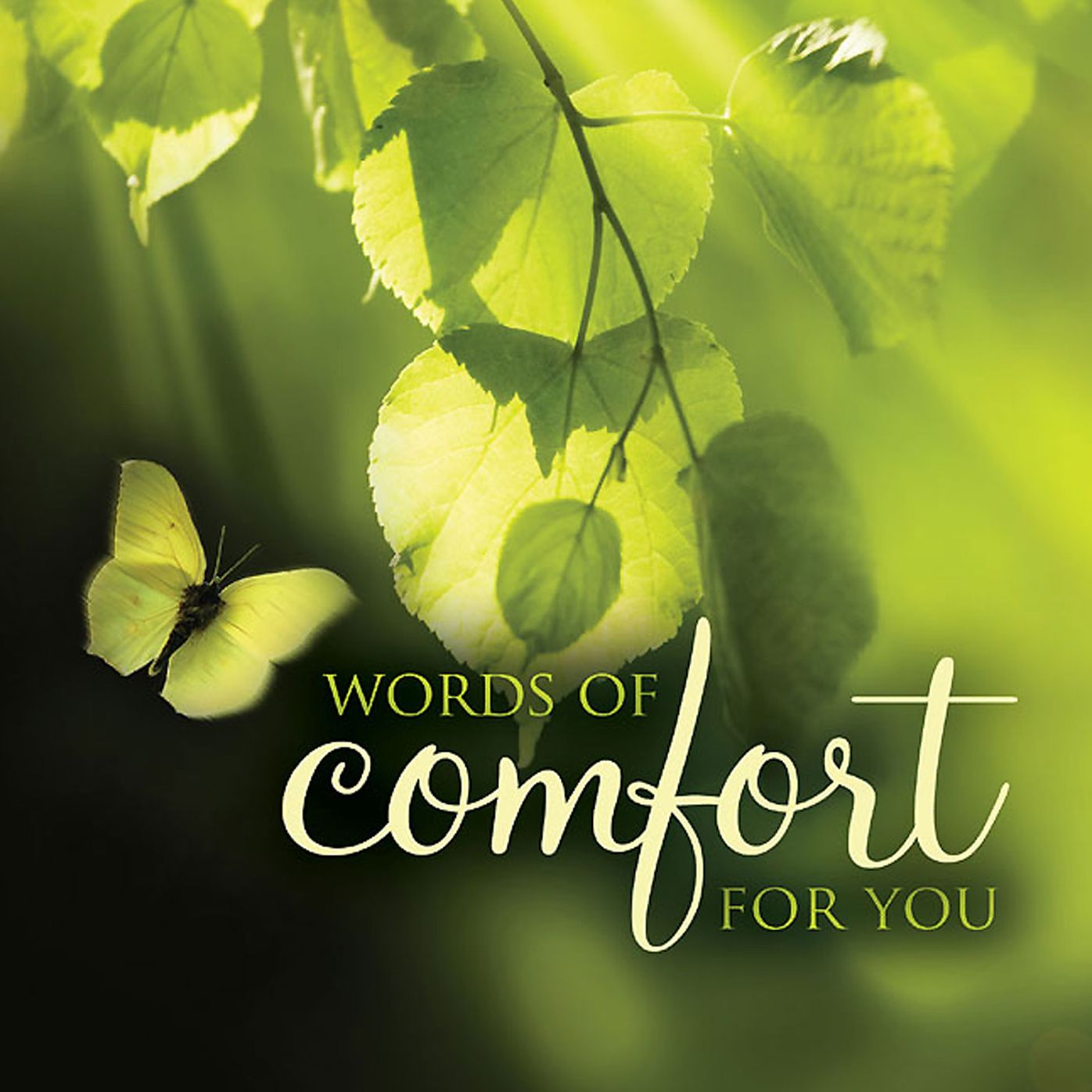 Words of Comfort for You