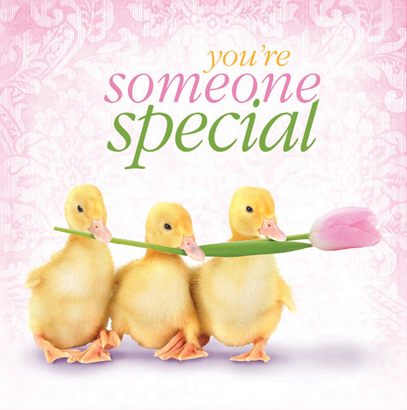 you're someone special