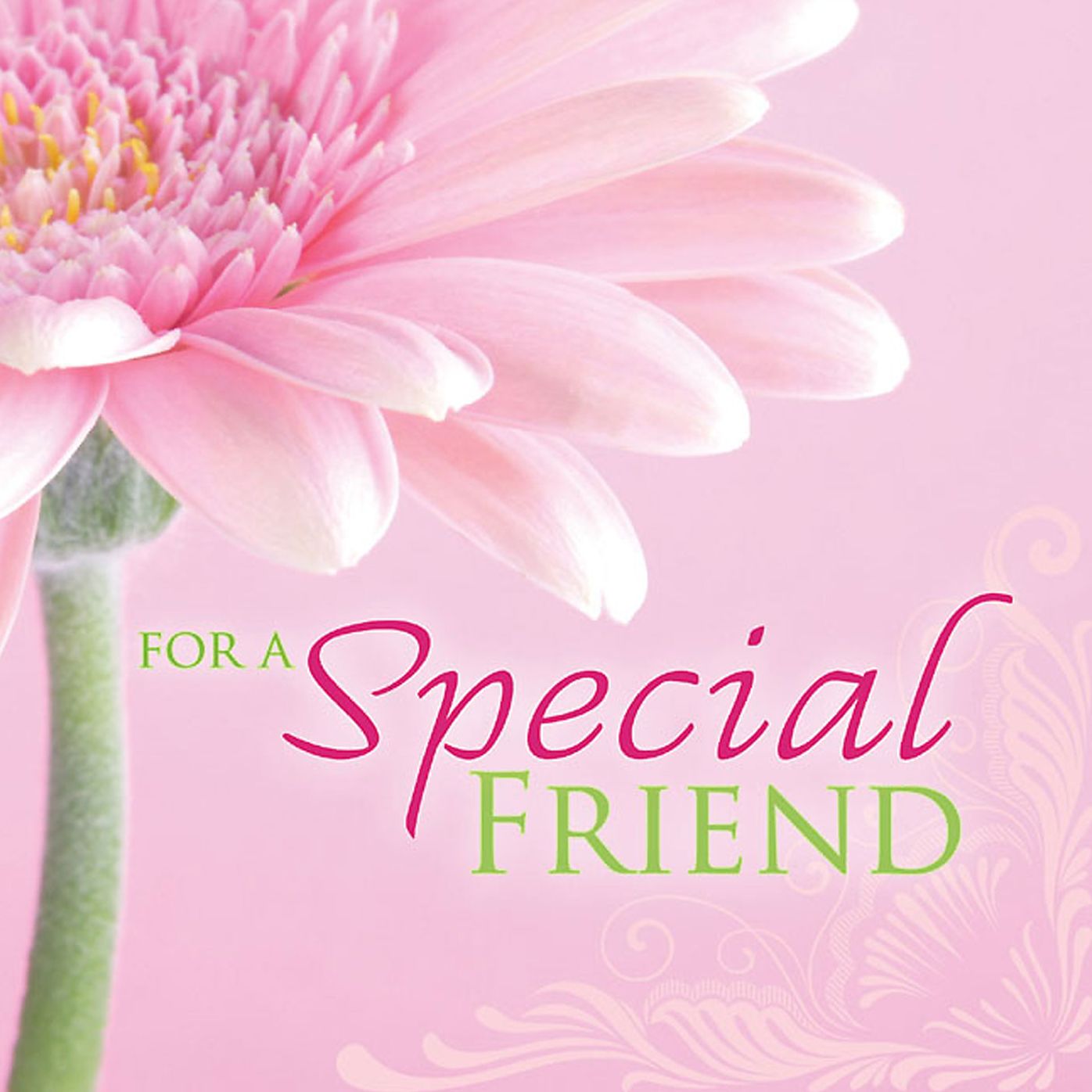 For a Special Friend