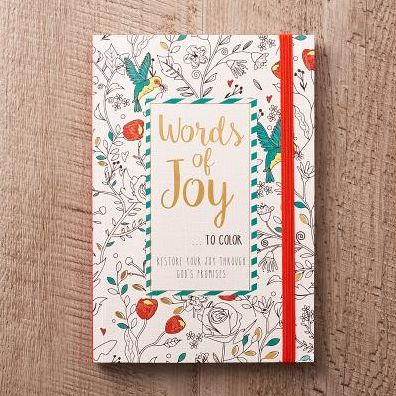 Color Bk Words of Joy