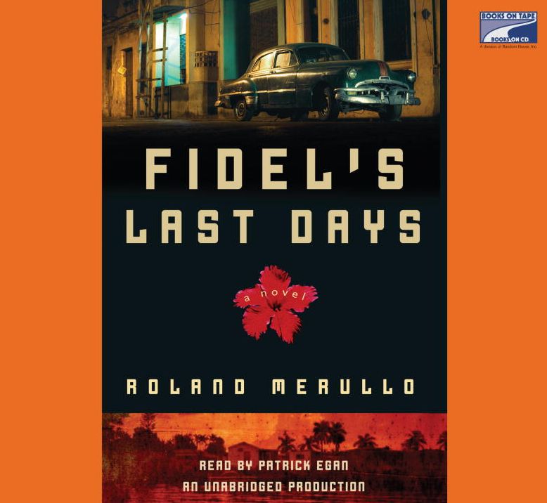 Fidel's Last Days: A Novel