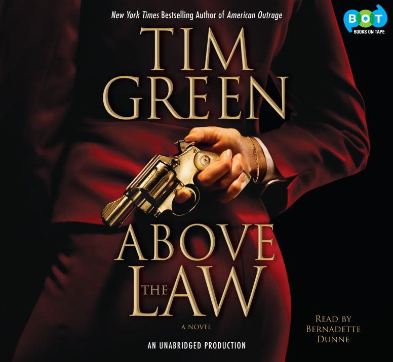 Above the Law (Casey Jordan Series #2)