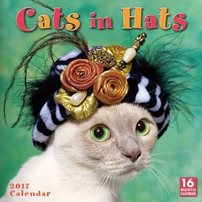 2017 Cats In Hats Wall Calendar