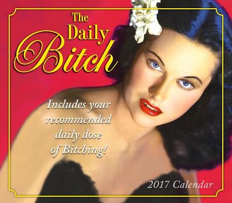 2017 Daily Bitch Boxed/Daily Calendar