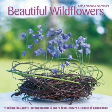 Beautiful Wildflowers