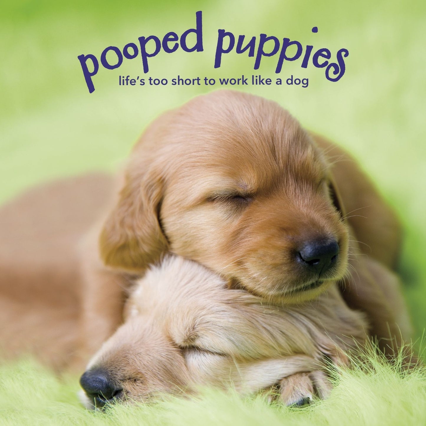 Pooped Puppies Life's Too Short Little Gift Book