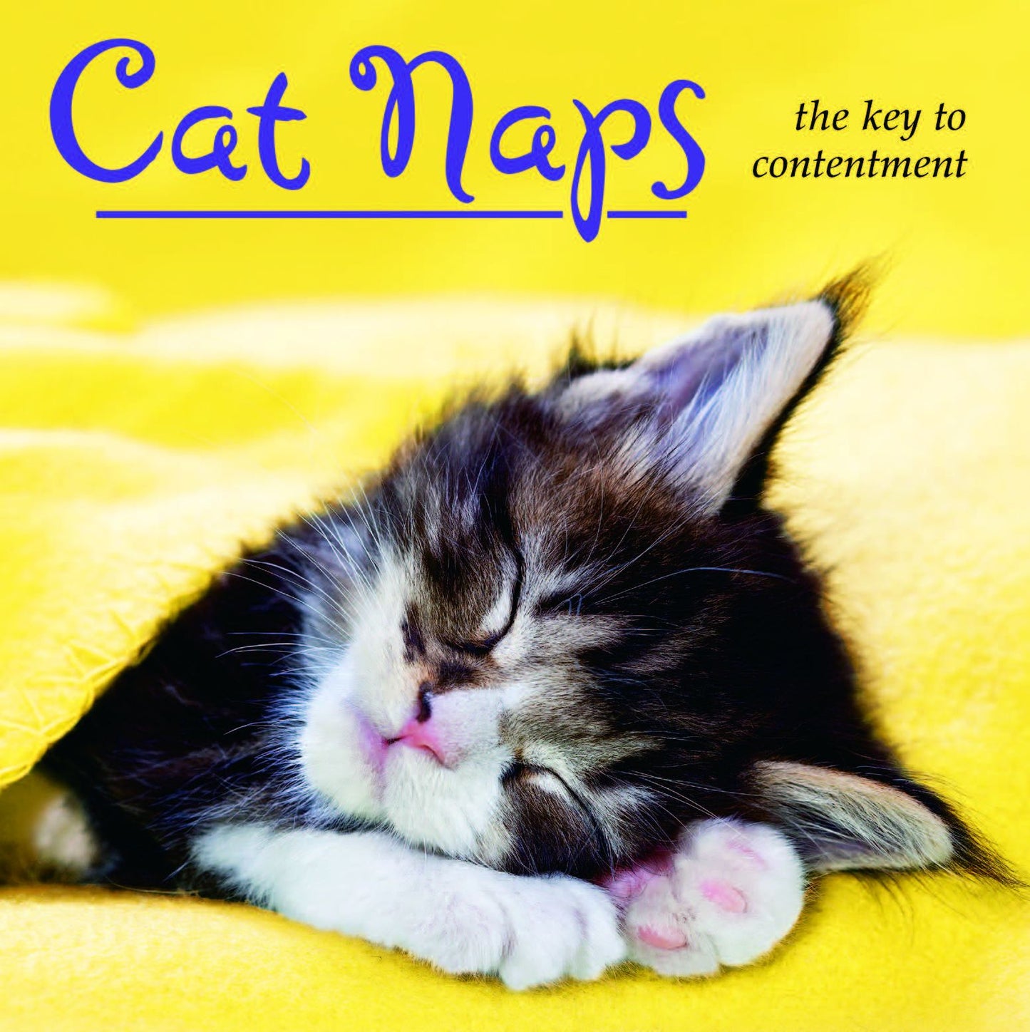 Cat Naps The Key To Contentment Little Gift Book