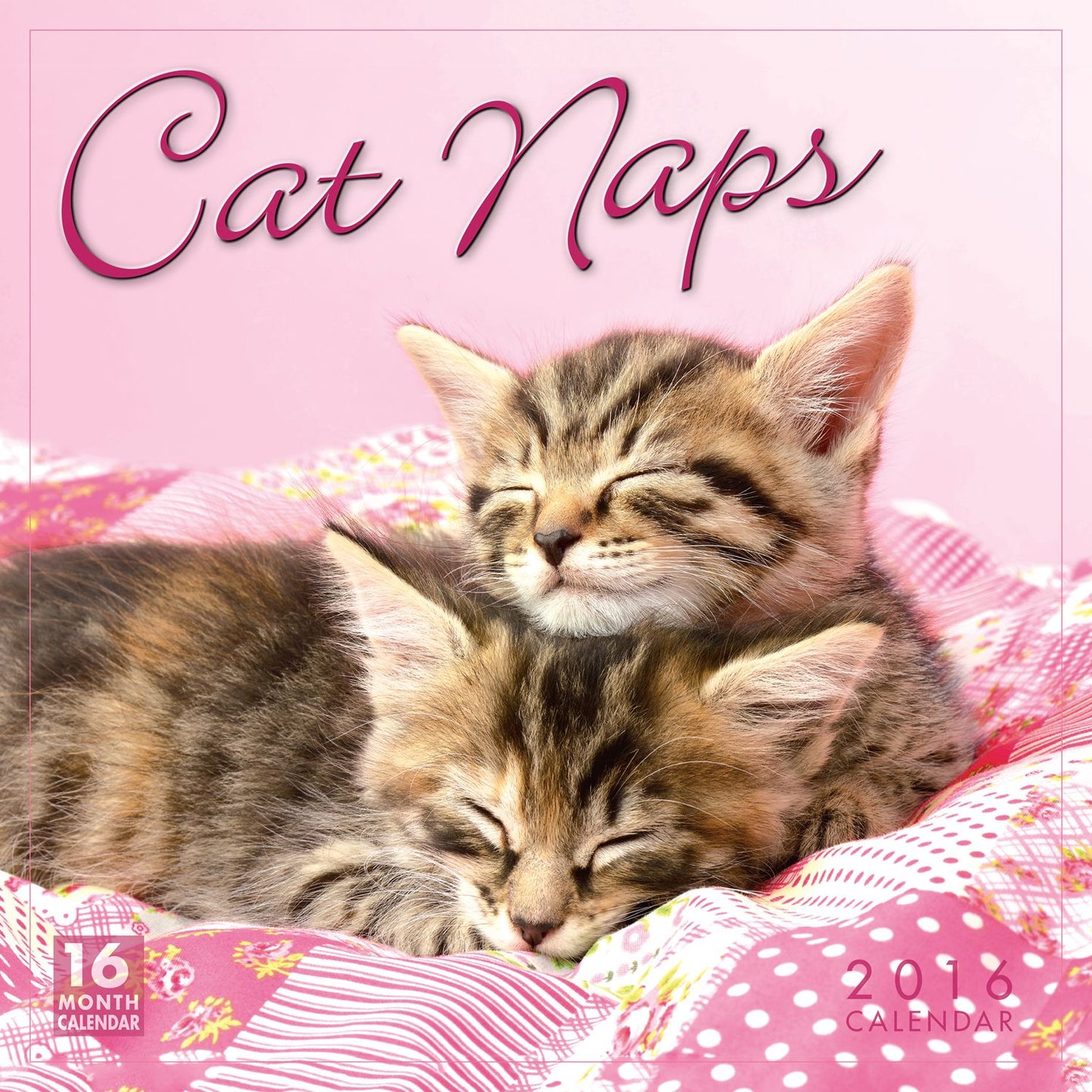 2016 Cat Naps Wall Calendar