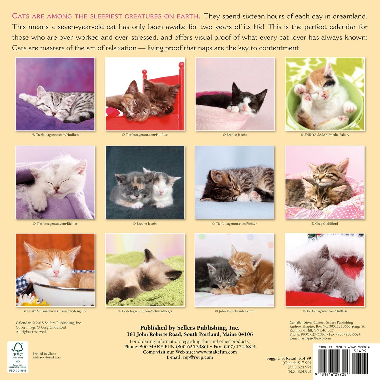 2016 Cat Naps Wall Calendar