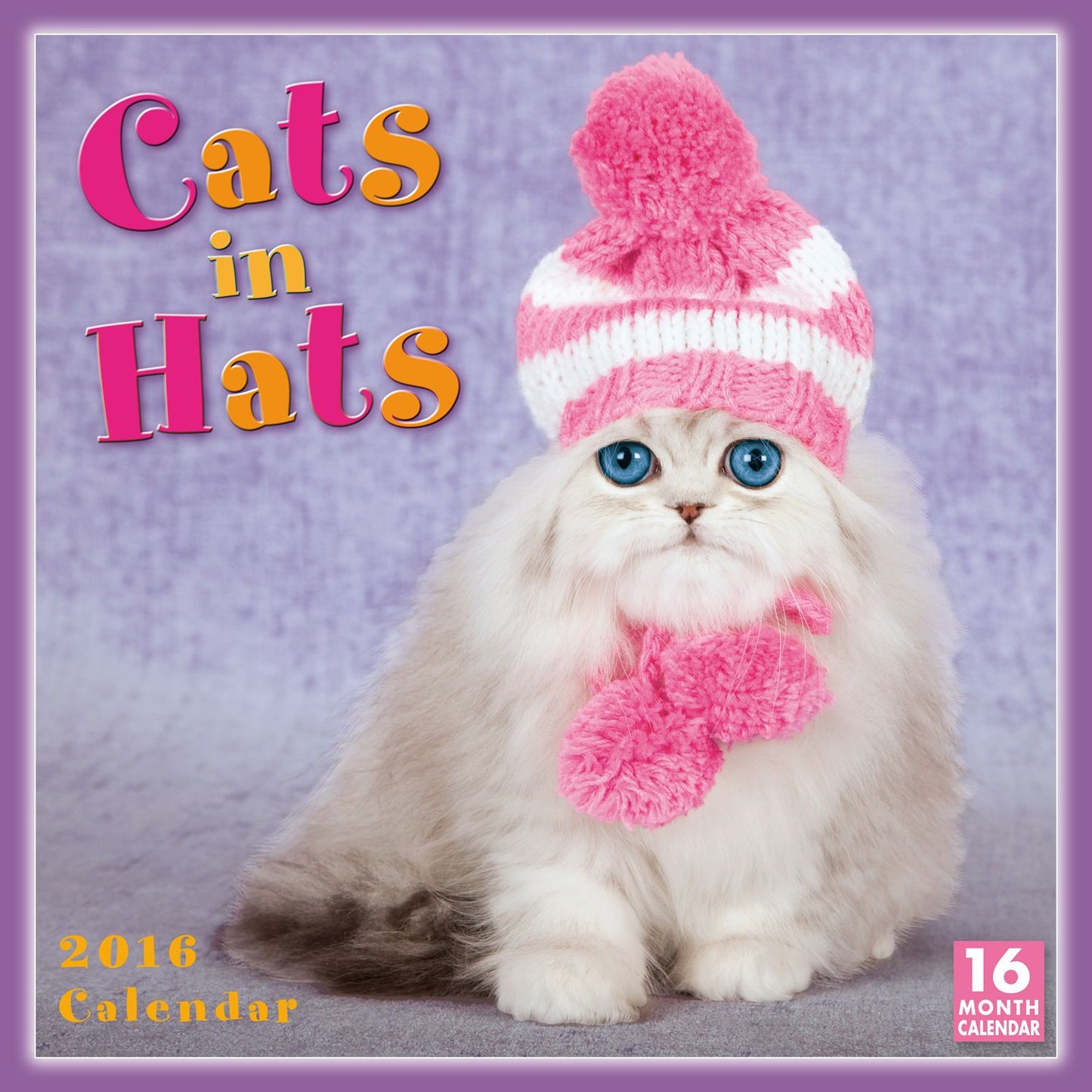 2016 Cats In Hats Wall Calendar