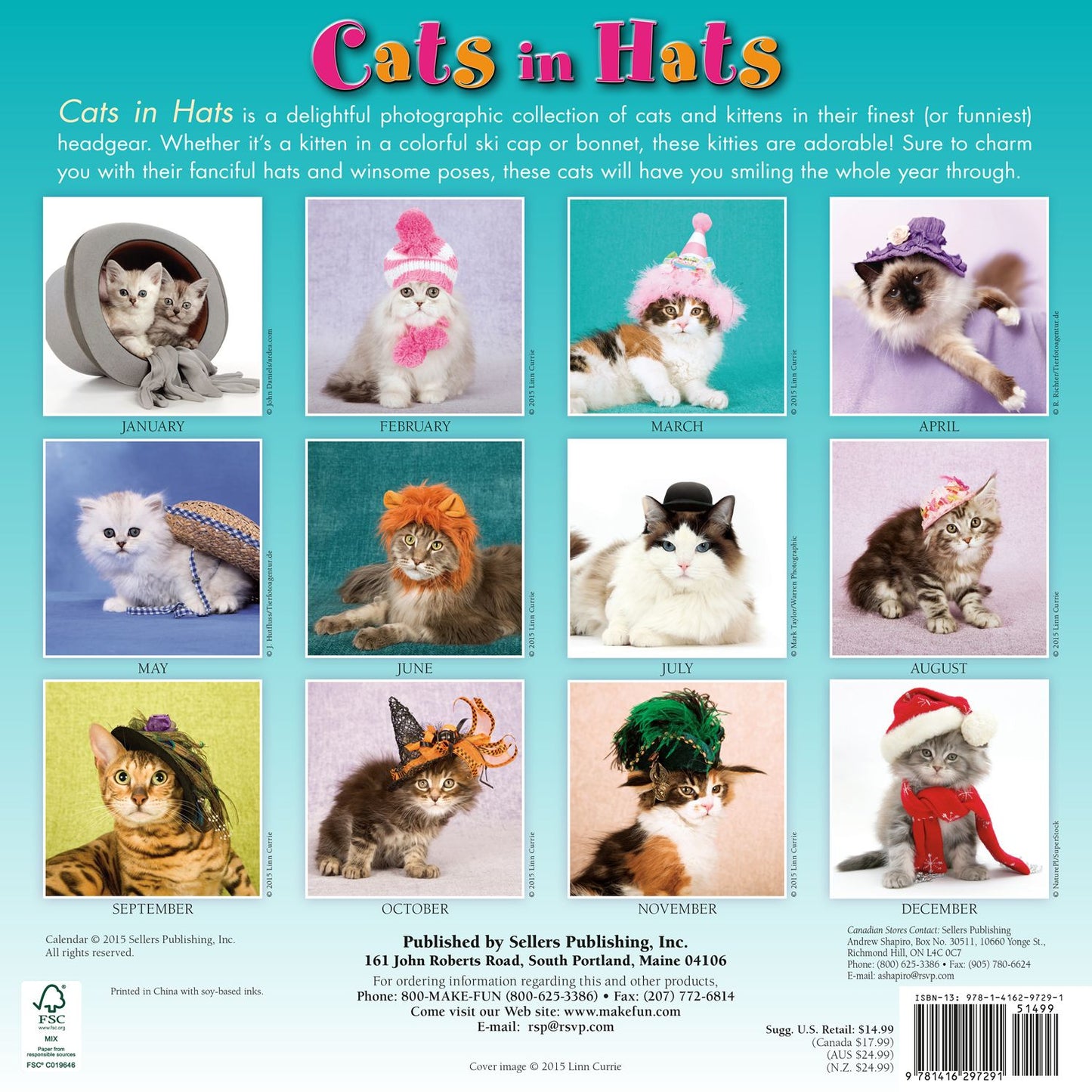 2016 Cats In Hats Wall Calendar