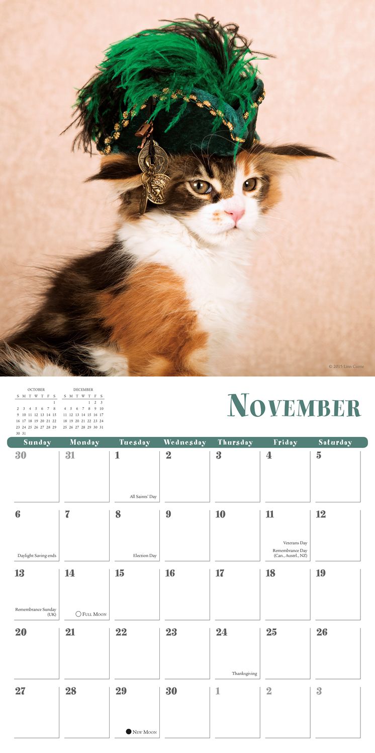2016 Cats In Hats Wall Calendar