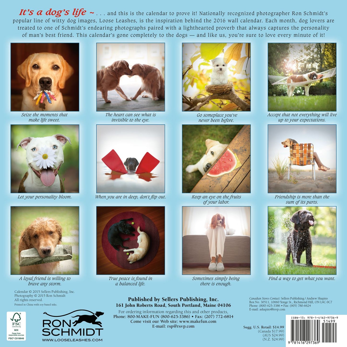 2016 Dogma Wall Calendar
