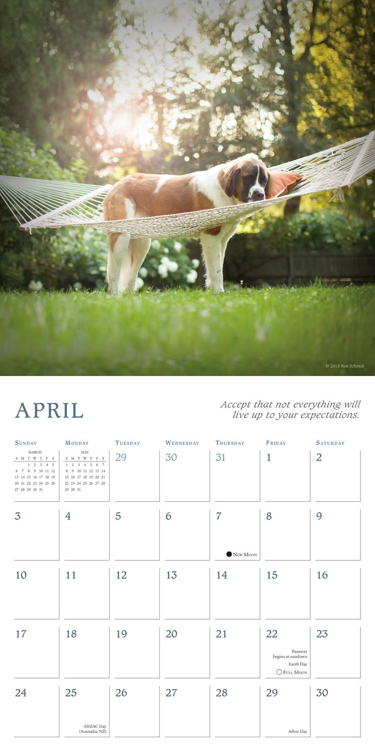 2016 Dogma Wall Calendar