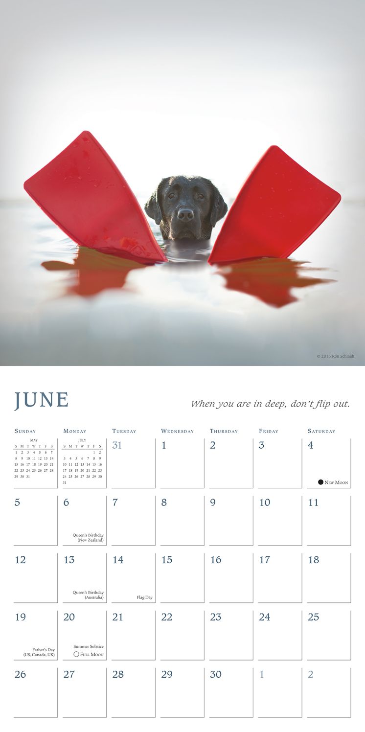 2016 Dogma Wall Calendar
