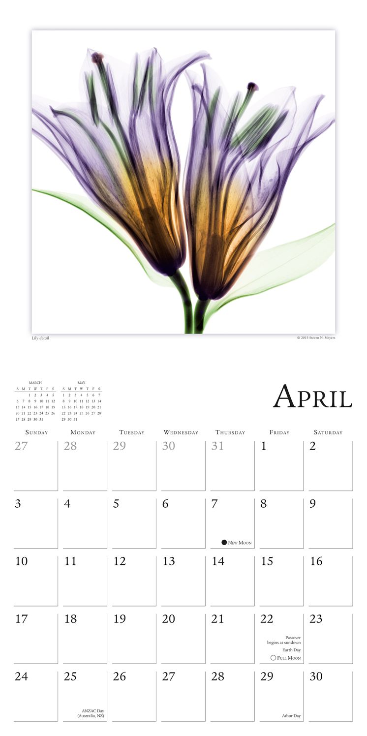 2016 Flower Spirits Wall Calendar