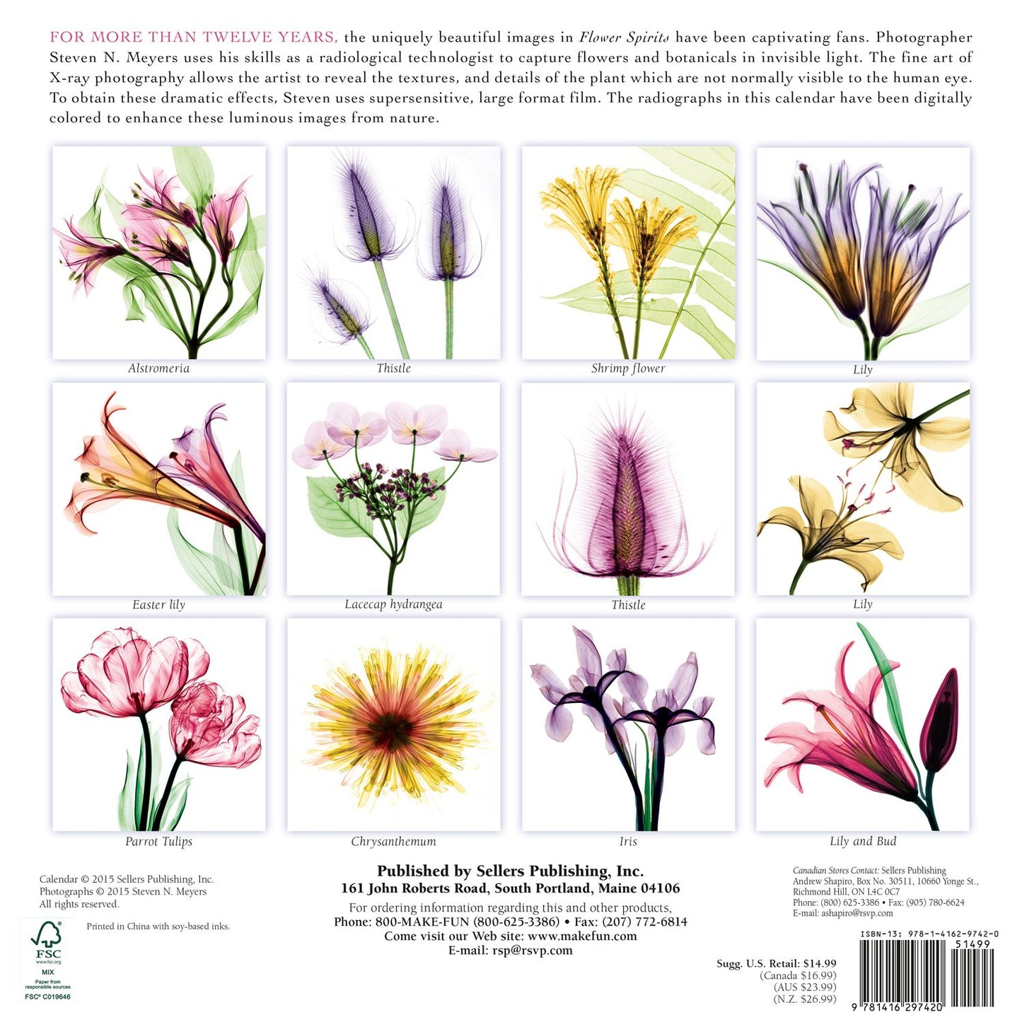 2016 Flower Spirits Wall Calendar