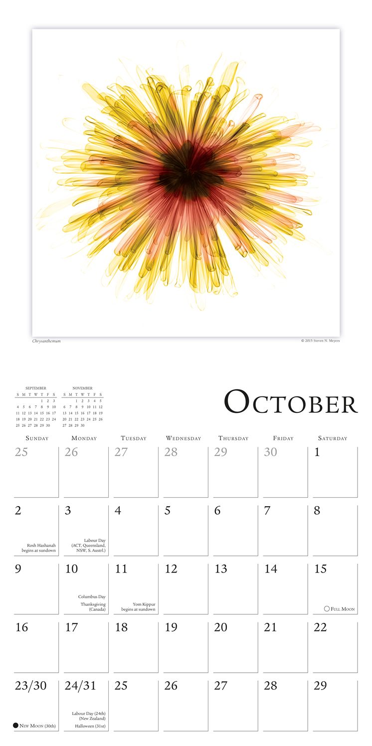 2016 Flower Spirits Wall Calendar
