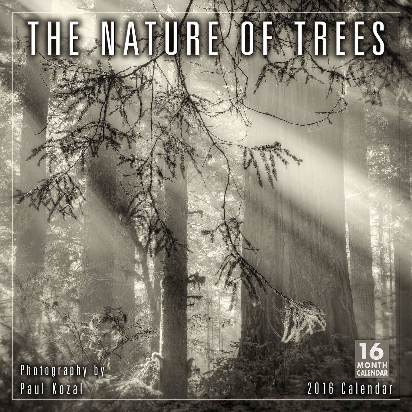 2016 Nature of Trees, The Wall Calendar